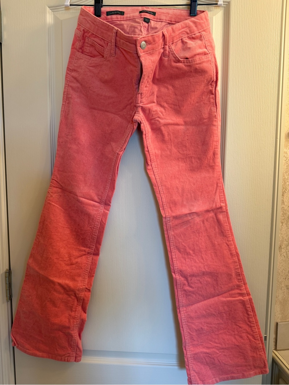 wild fable Coral Boot Cut Corduroy Pants